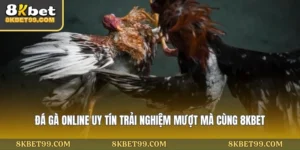 da-ga-online-uy-tin-trai-nghiem-muot-ma-cung-8kbet