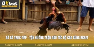 da-ga-truc-tiep-tan-huong-tran-dau-toc-do-cao-cung-8kbet